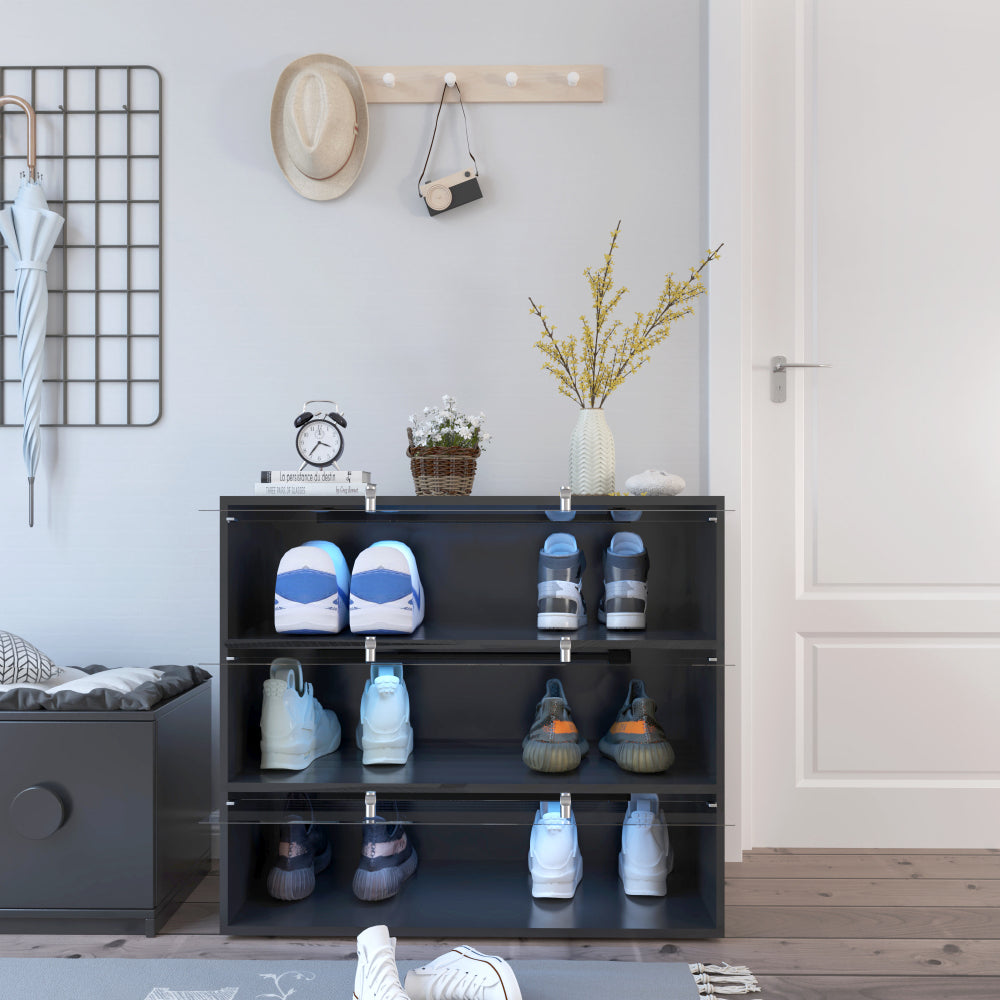 Black Glass Door Shoe Box Shoe Storage Cabinet  With RGB Led Light