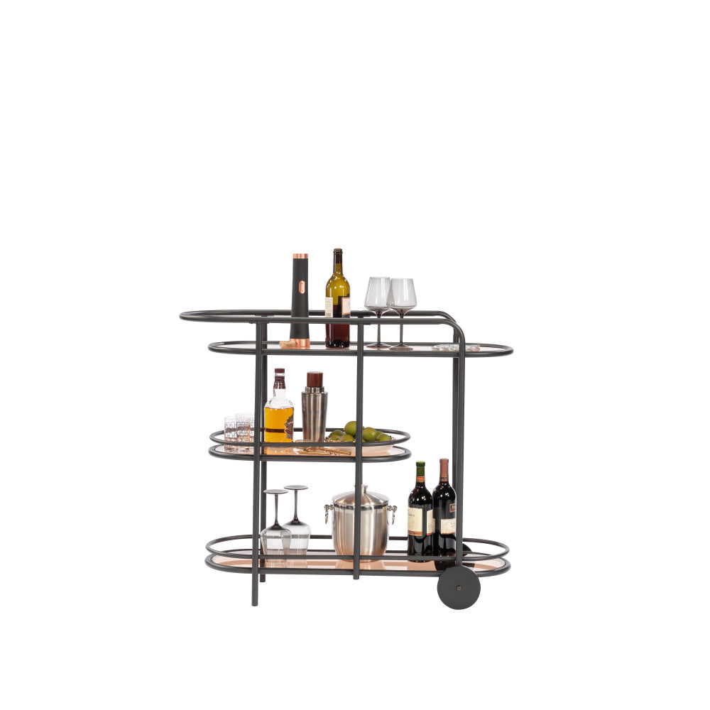 Coral Cape Modern Metal Bar Cart Black