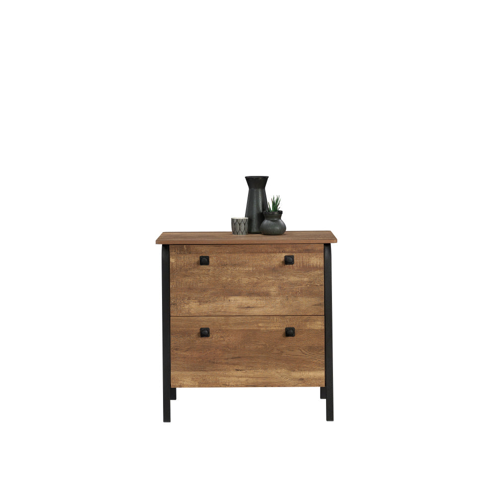 Sauder Station House 2-Drawer Lateral File Cabinet, Etched Oak Finish