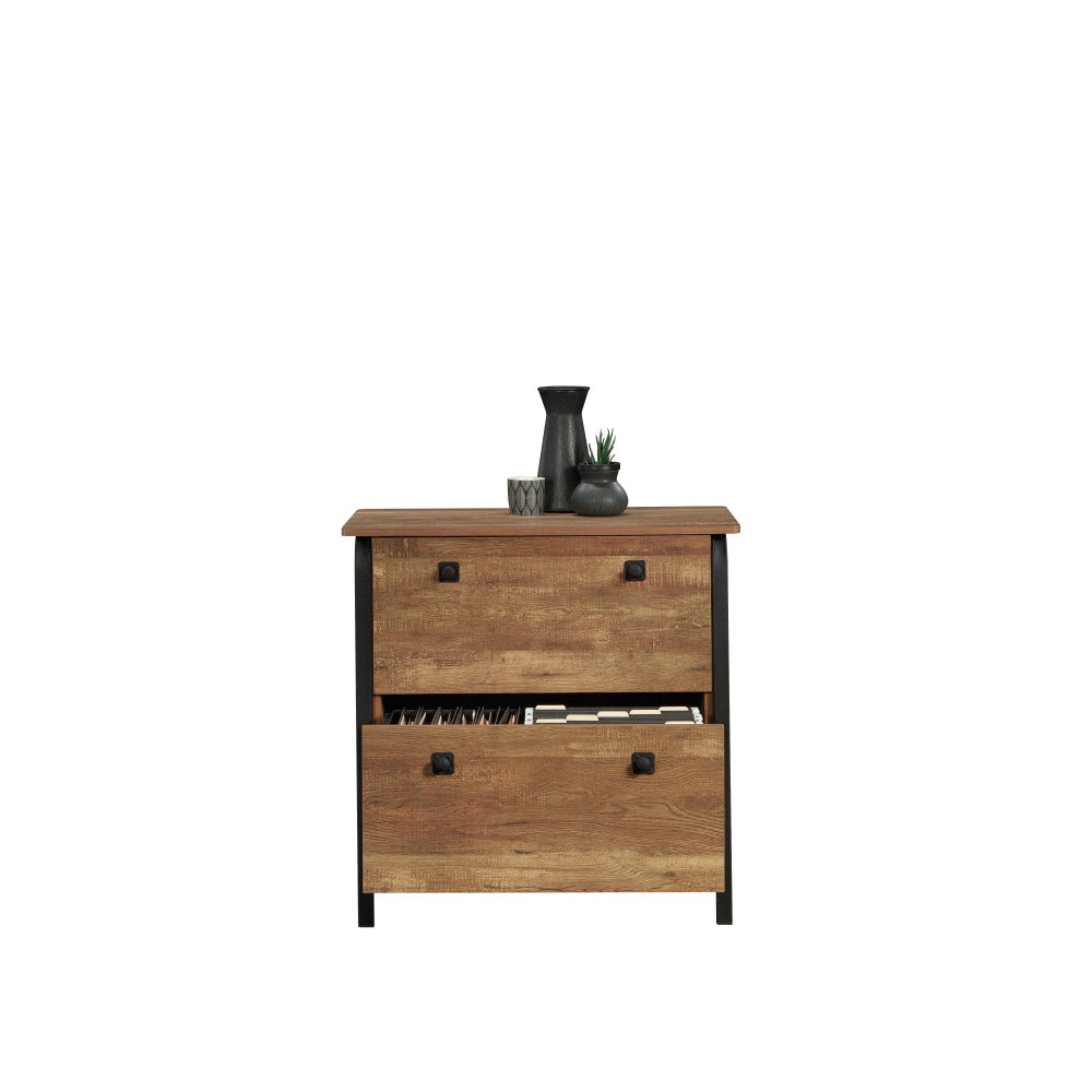 Sauder Station House 2-Drawer Lateral File Cabinet, Etched Oak Finish